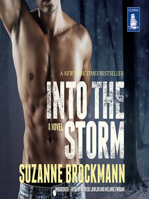 cover image of Into the Storm